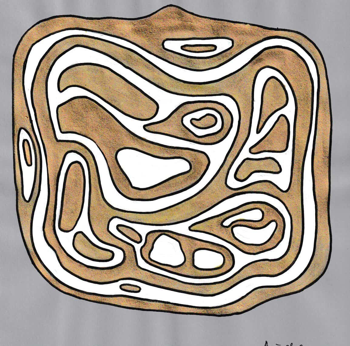 Cellules